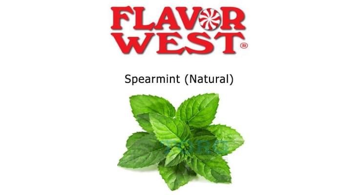 Изображение Ароматизатор Flavor West Spearmint (Natural) Ароматизатор Flavor West Spearmint (Natural)